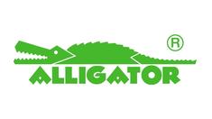 Alligator