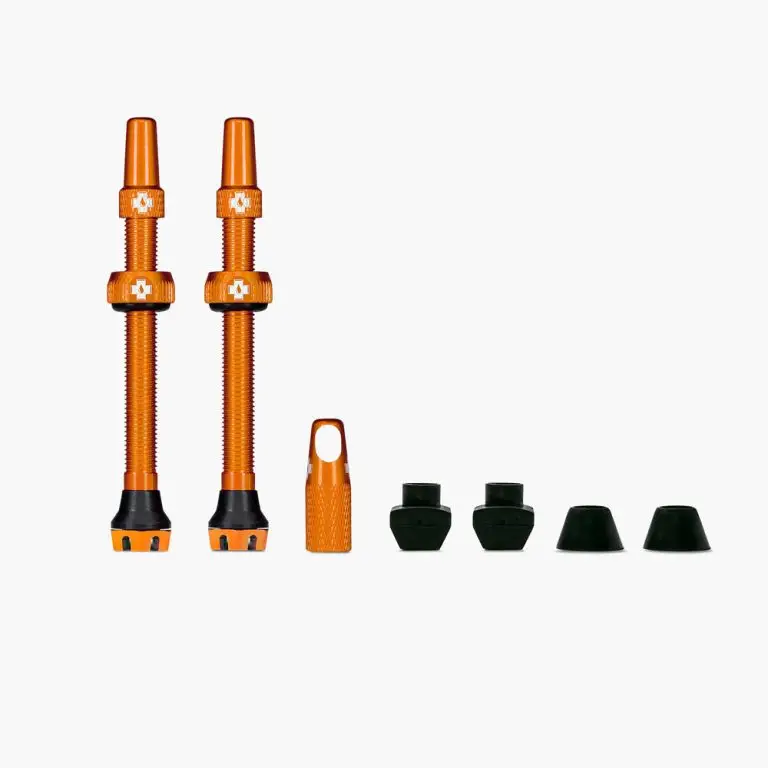 Web_ORANGE_TUBELESS_PRESTA_VALVE__PAIR__2021_eaa10d44-ff3f-45d6-bb3c-3d075cd2efc0_1000x1000