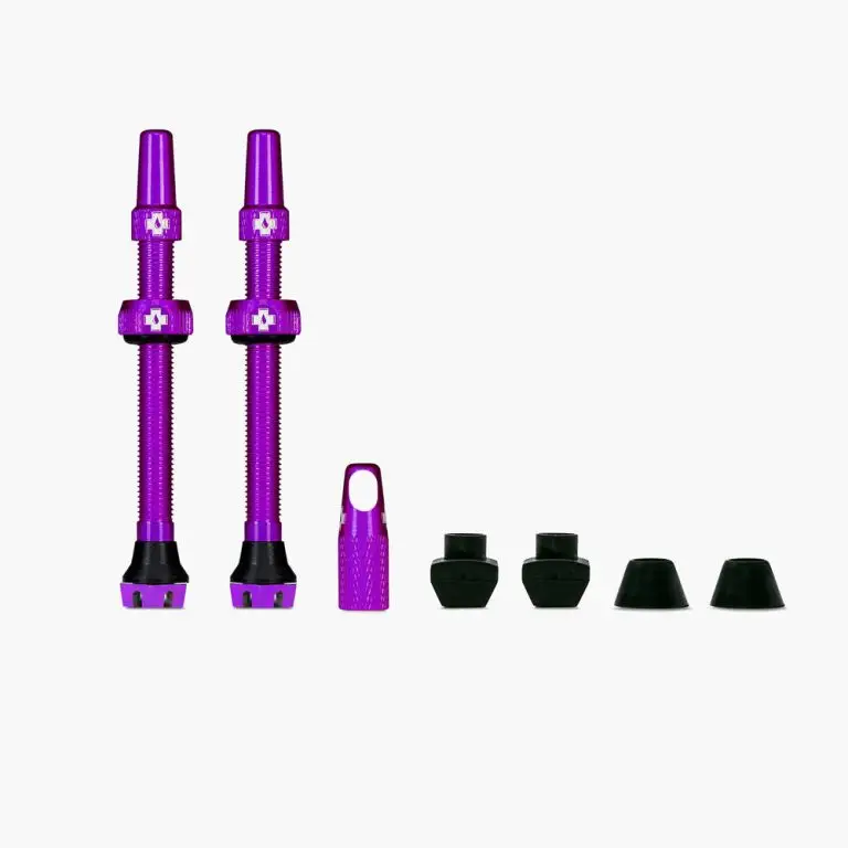 Web_PURPLE_TUBELESS_PRESTA_VALVE__PAIR__2021_c6b7d99a-1f53-47dd-b362-d99ba5271a5c_1000x1000