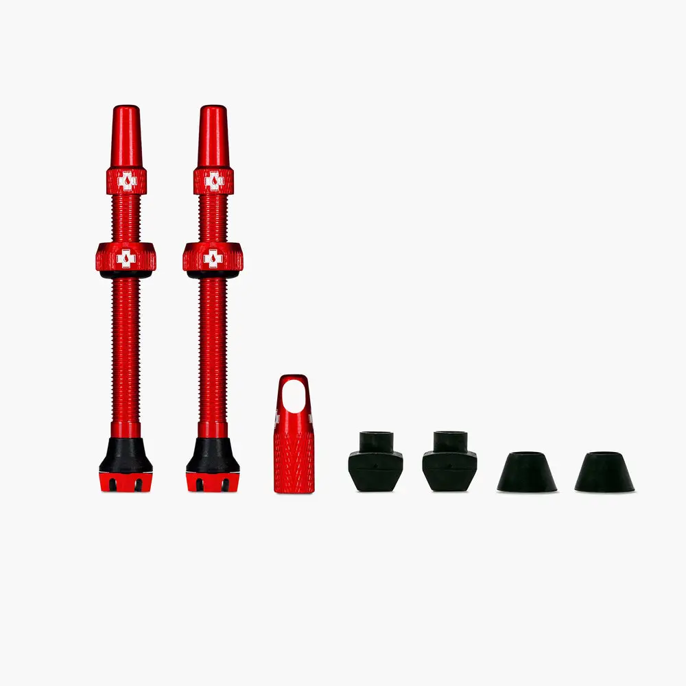 Web_RED_TUBELESS_PRESTA_VALVE_02__PAIR__2021_1000x1000