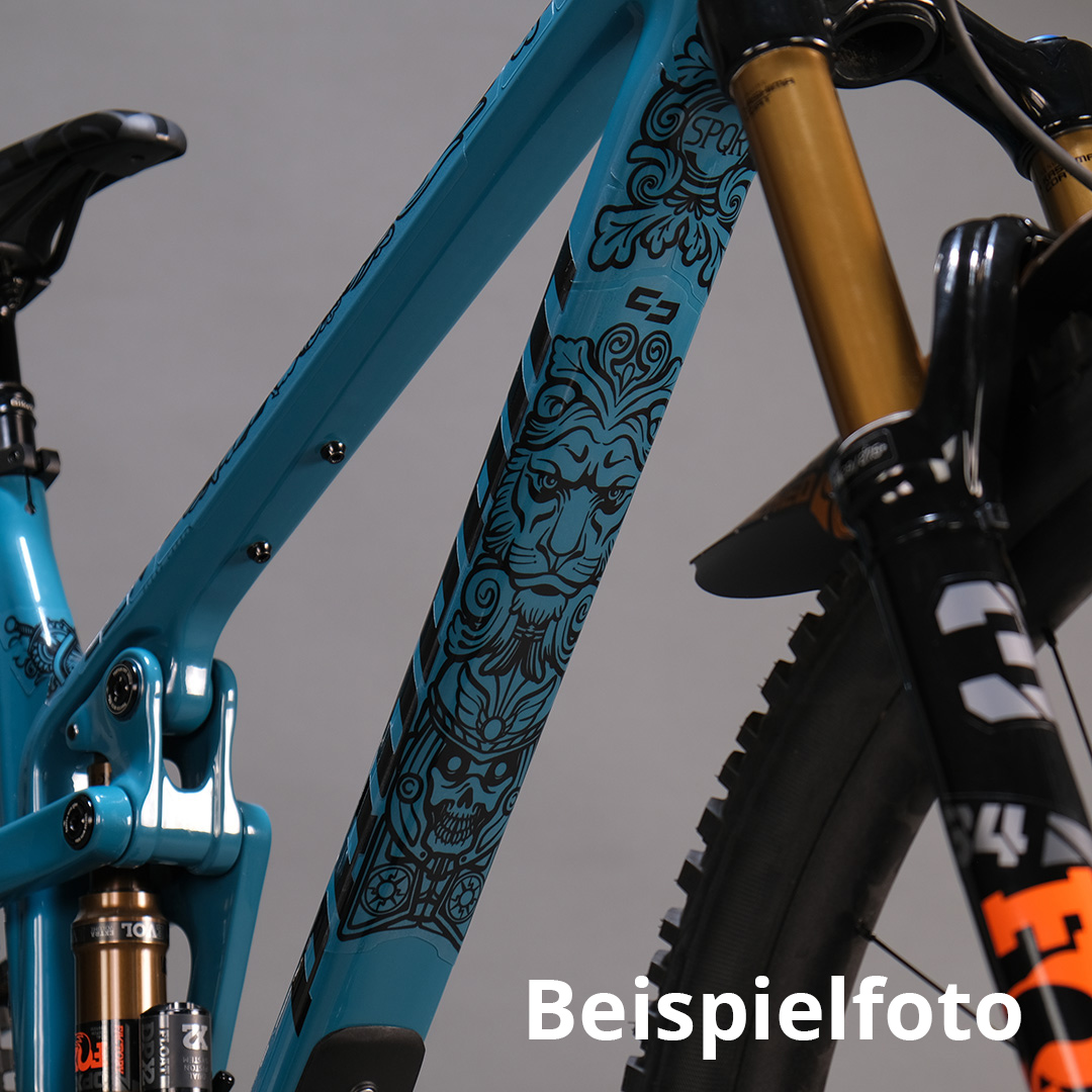 Unleazhed BP01 protection foil Frame-Kit L tatanka - Rahmenschutzfolie – Bild 3